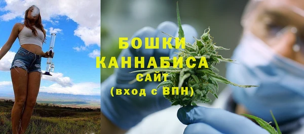 гашик Майский