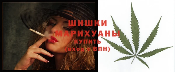 твердый Магас